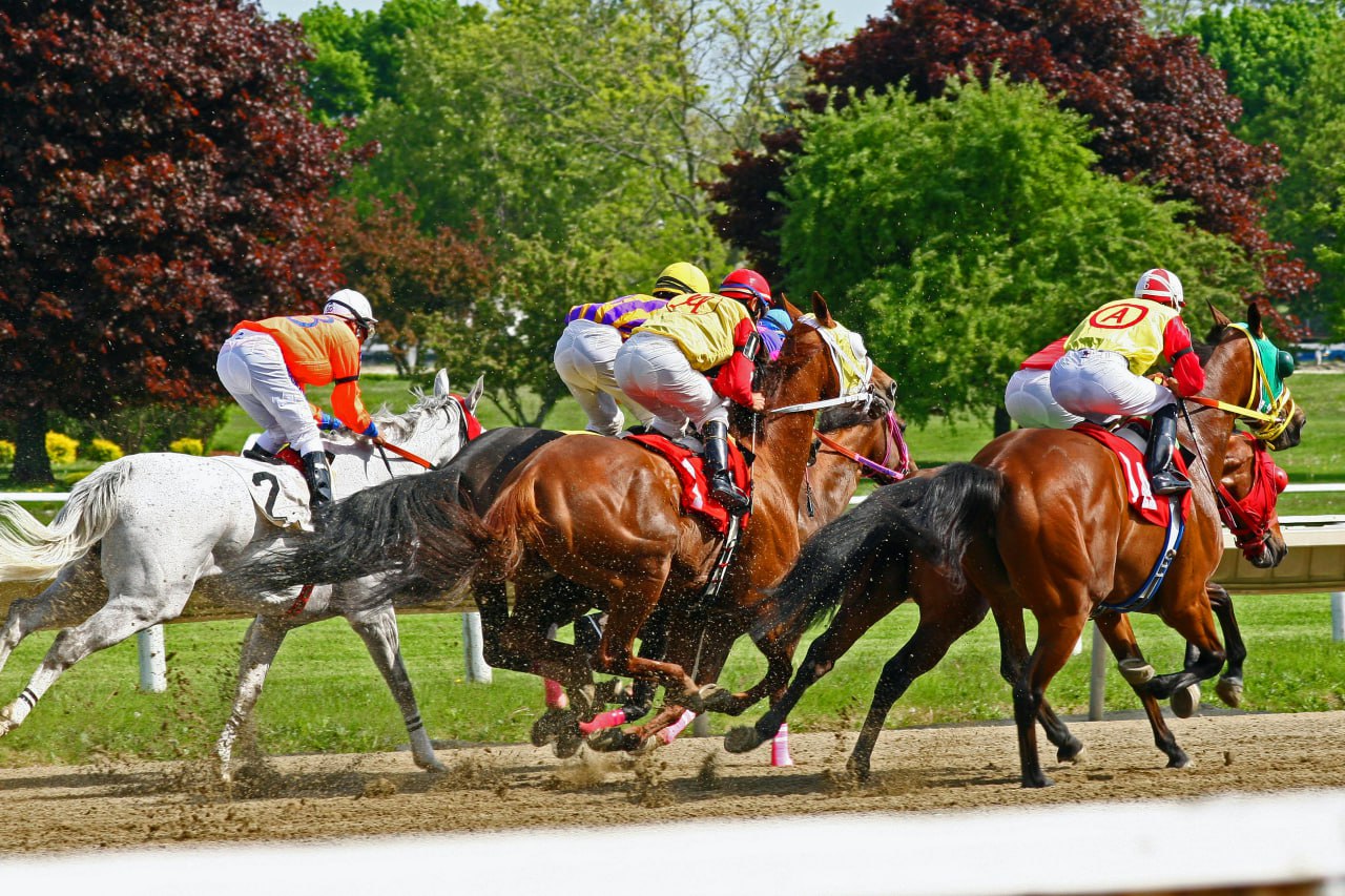 Why I'm Backing City Class to Demolish Them at Taree | Racing Life