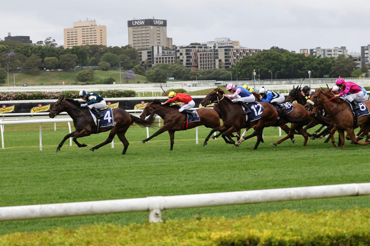 Sleep Racing Midweek Metro Angles: Where The Value Hides When The Punters Sleep ...