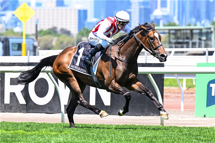 Australasian Oaks 2026: Salty Pearl at $4.80 Beats Getta Good Feeling ...